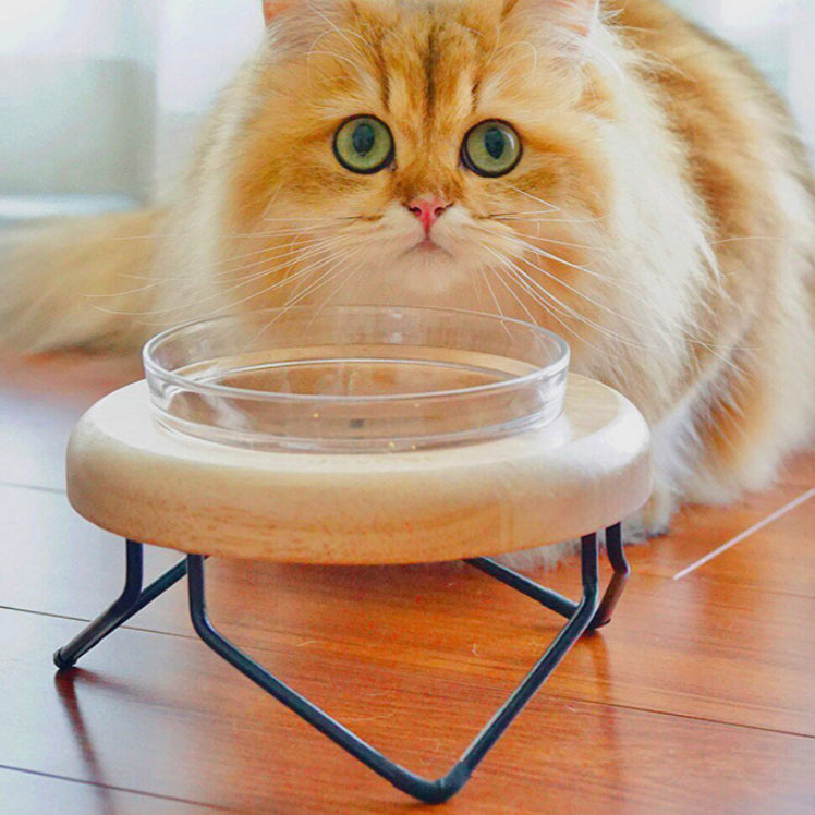 Solid Wood Cat Bowl Rack Pets Fashion