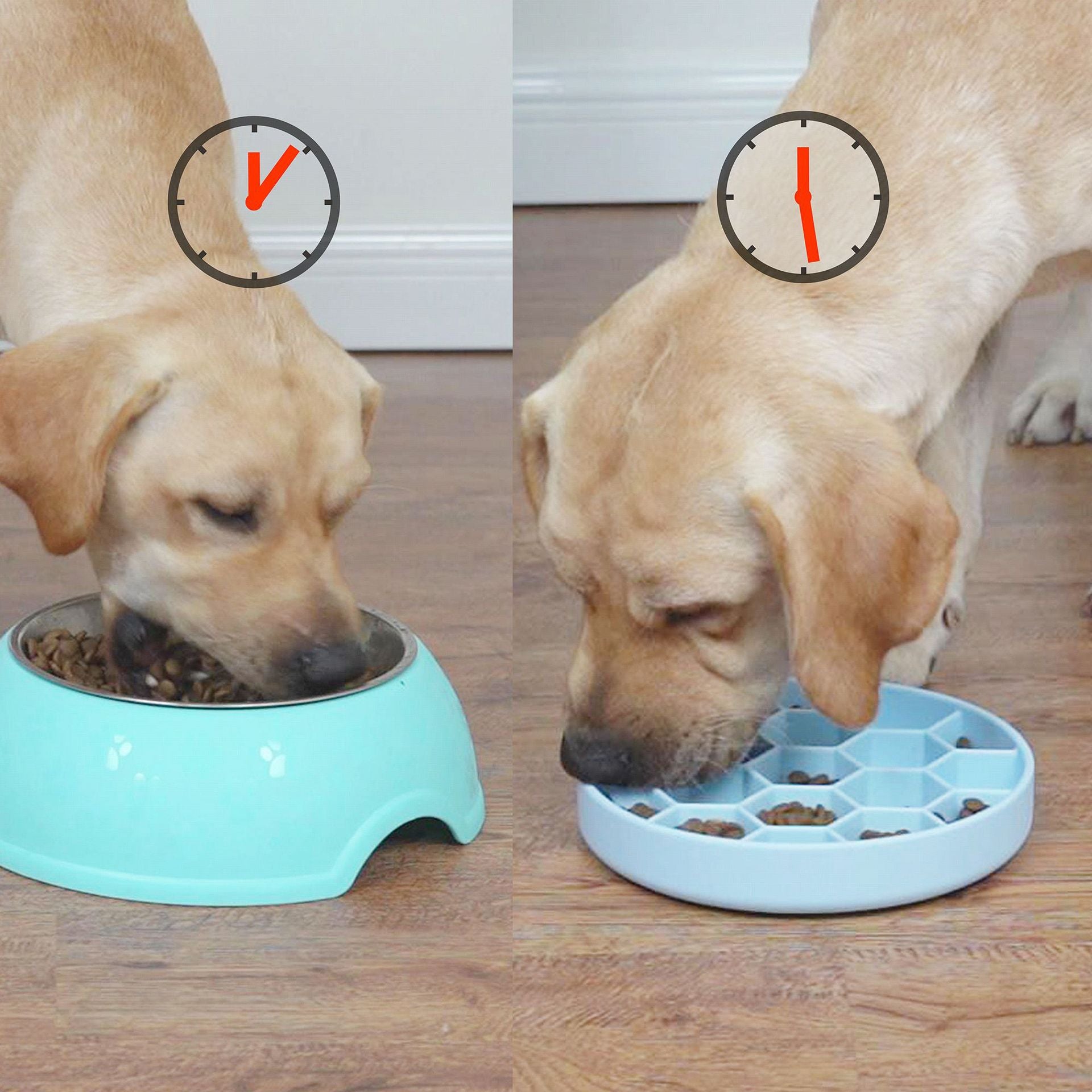 Silica Gel Sucker Honeycomb Eating Bowl Pets Fashion