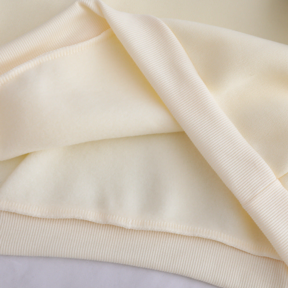 Loose Lazy Style Hooded Sweatshirt With Plush Letter Print