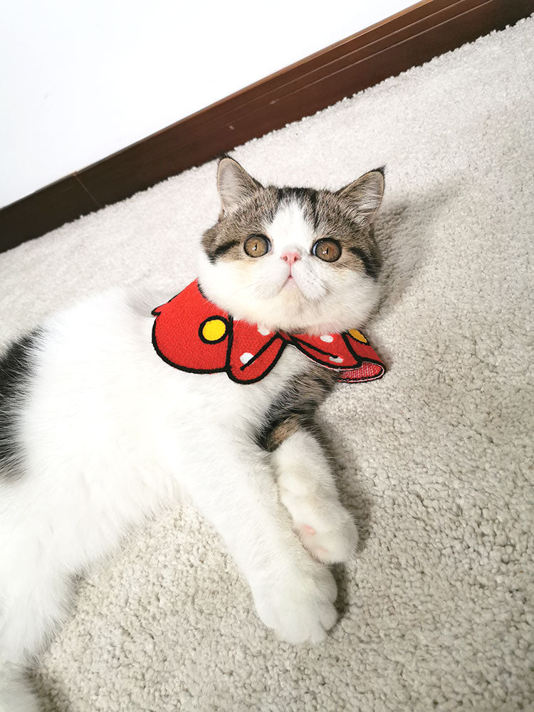 Pet collar Pets Fashion