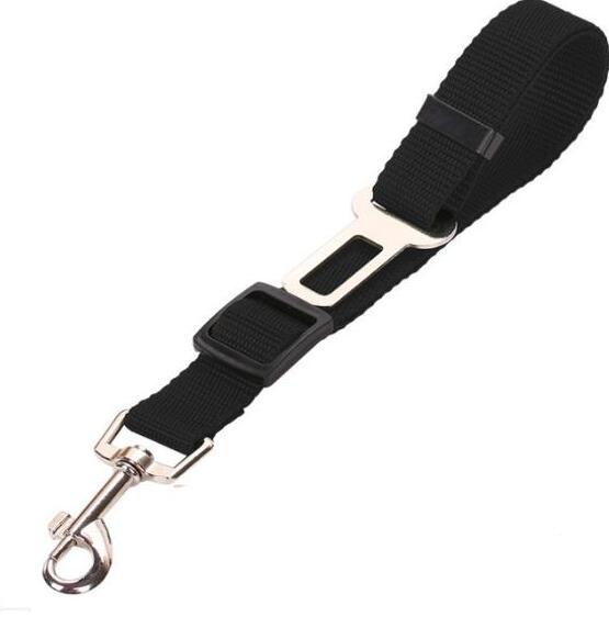 Pet Car Seat Belt Pet Leash Pets Fashion