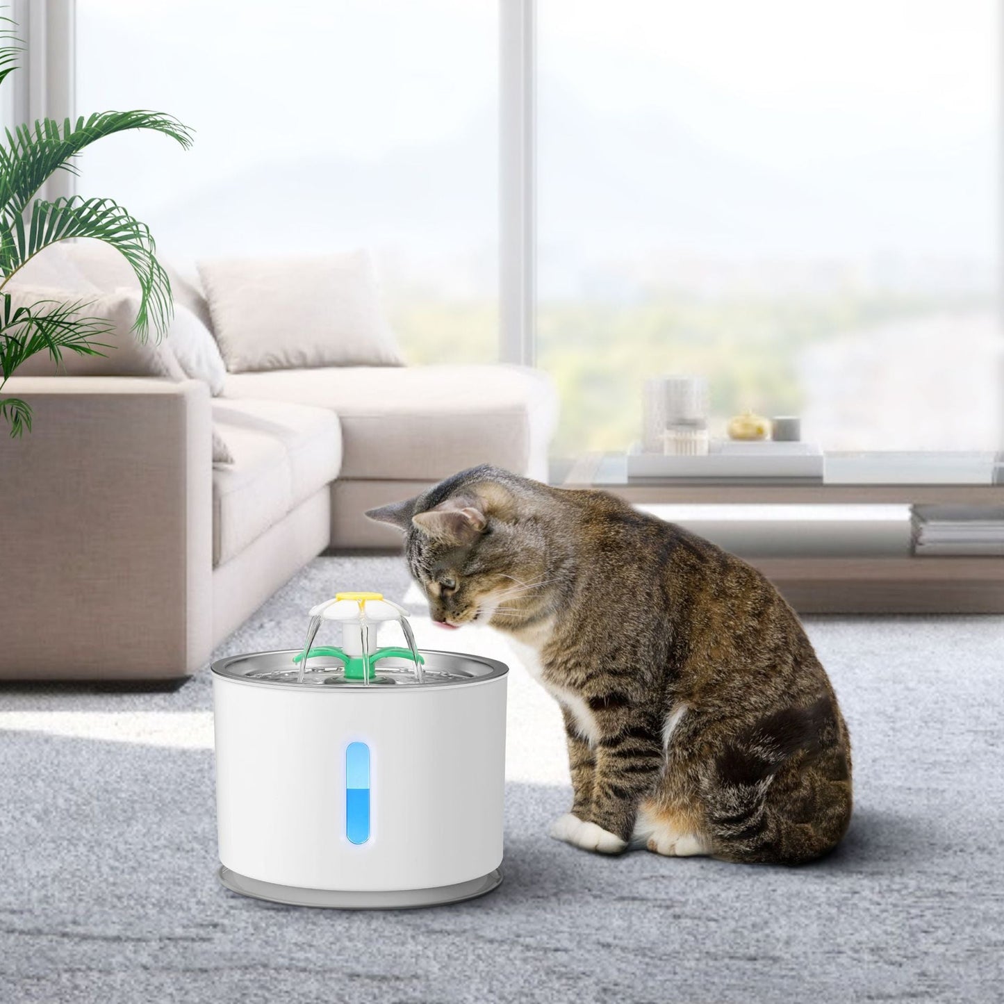 Pet USB Drinking Dispenser Pets Fashion