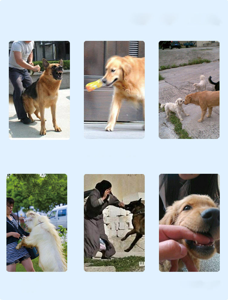 Rechargeable Remote Control Dog Training Device Pet Supplies Rechargeable Bark Stopper Pets Fashion