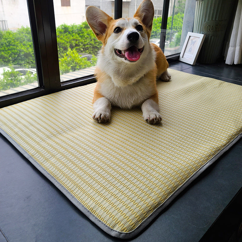 Dog Mat Sleeping With Pet Mat Summer Mat Anti Bite Mattress Cat Non Stick Hair Ice Mat Dog Mat Pets Fashion