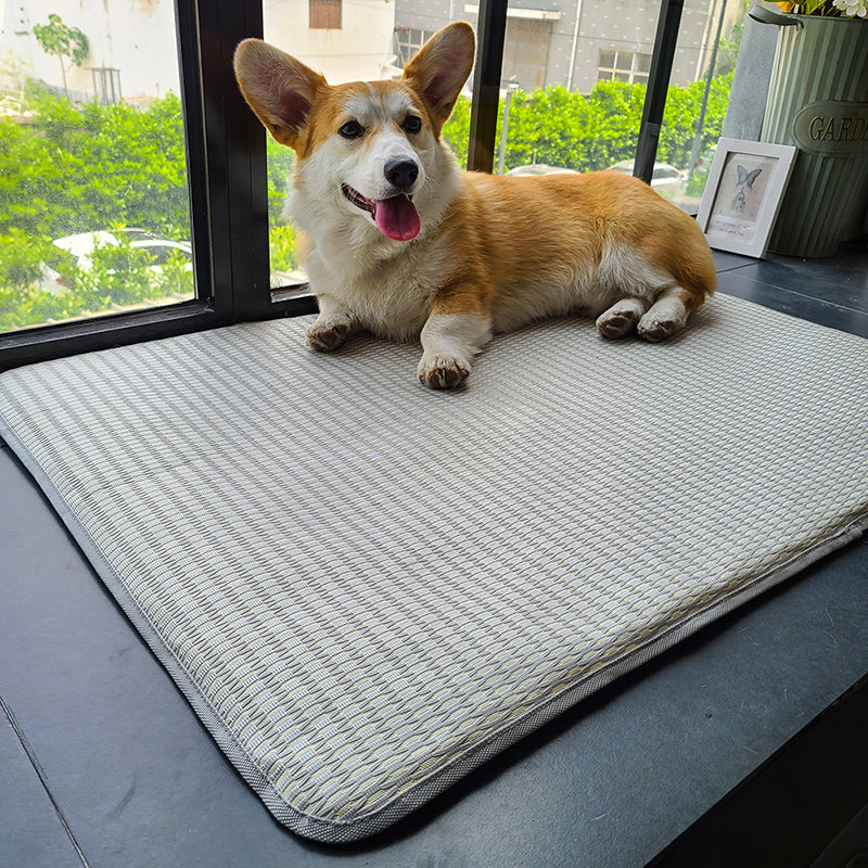 Dog Mat Sleeping With Pet Mat Summer Mat Anti Bite Mattress Cat Non Stick Hair Ice Mat Dog Mat Pets Fashion