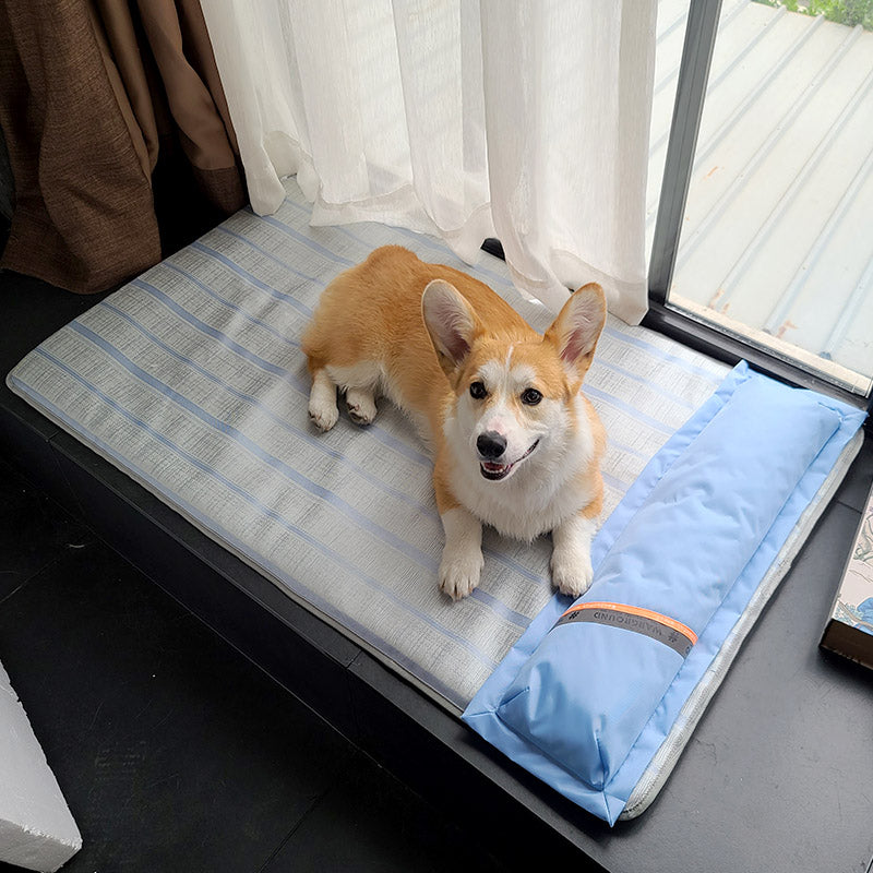 Dog Mat Sleeping With Pet Mat Summer Mat Anti Bite Mattress Cat Non Stick Hair Ice Mat Dog Mat Pets Fashion