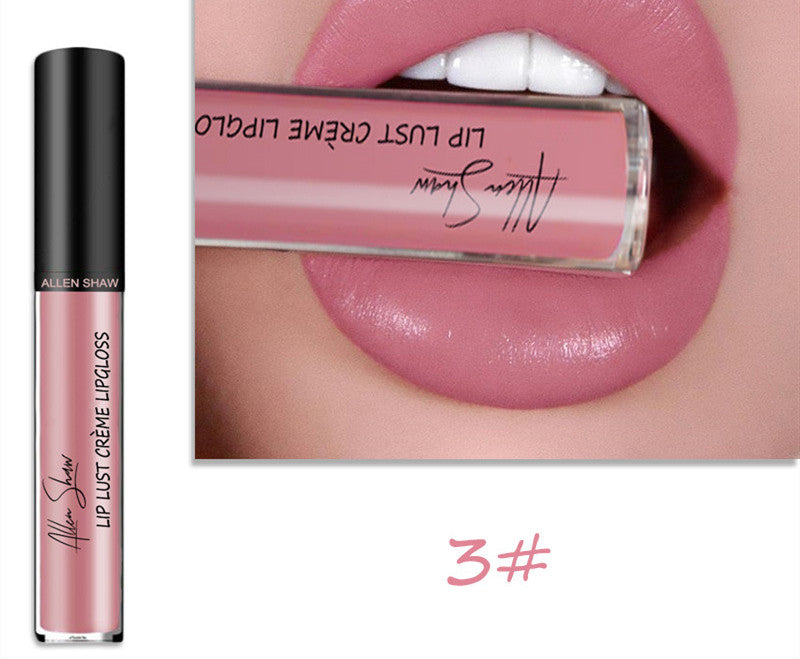 Silky Cream Texture Lip Gloss Aliexpress Shopee Cross-Border Exclusive Lip Glaze Lip Gloss Lipstick LadyShow.Store
