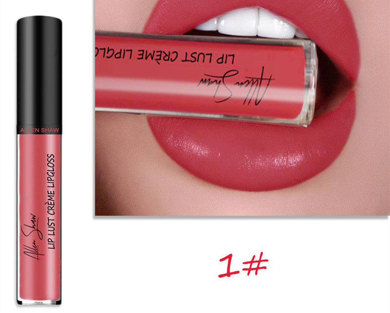 Silky Cream Texture Lip Gloss Aliexpress Shopee Cross-Border Exclusive Lip Glaze Lip Gloss Lipstick LadyShow.Store
