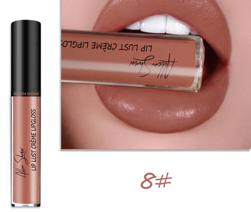 Silky Cream Texture Lip Gloss Aliexpress Shopee Cross-Border Exclusive Lip Glaze Lip Gloss Lipstick LadyShow.Store