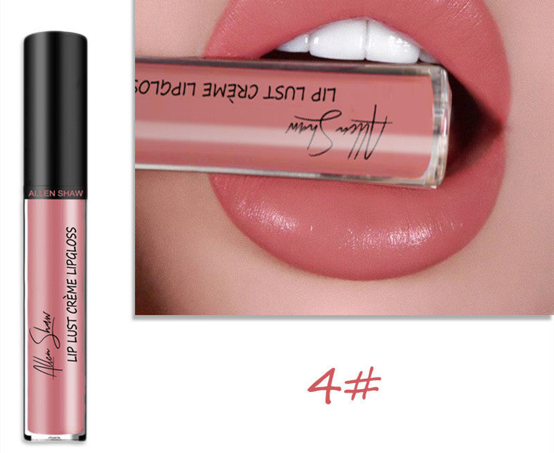 Silky Cream Texture Lip Gloss Aliexpress Shopee Cross-Border Exclusive Lip Glaze Lip Gloss Lipstick LadyShow.Store