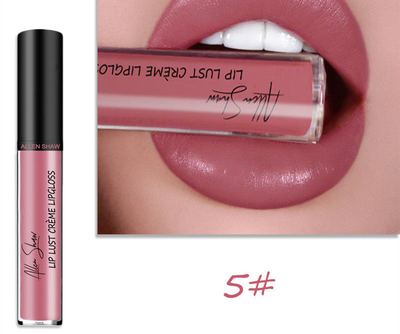 Silky Cream Texture Lip Gloss Aliexpress Shopee Cross-Border Exclusive Lip Glaze Lip Gloss Lipstick LadyShow.Store