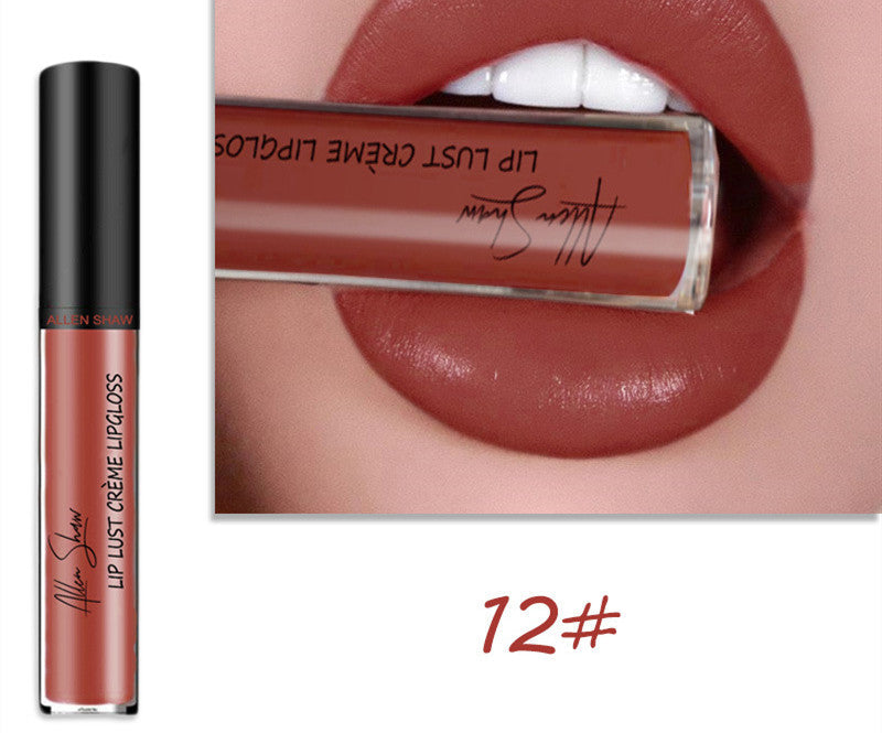Silky Cream Texture Lip Gloss Aliexpress Shopee Cross-Border Exclusive Lip Glaze Lip Gloss Lipstick LadyShow.Store