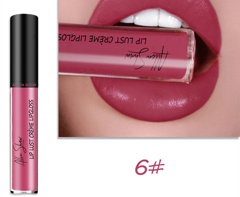 Silky Cream Texture Lip Gloss Aliexpress Shopee Cross-Border Exclusive Lip Glaze Lip Gloss Lipstick LadyShow.Store