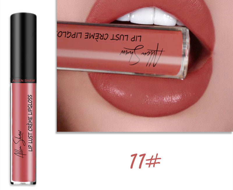 Silky Cream Texture Lip Gloss Aliexpress Shopee Cross-Border Exclusive Lip Glaze Lip Gloss Lipstick LadyShow.Store
