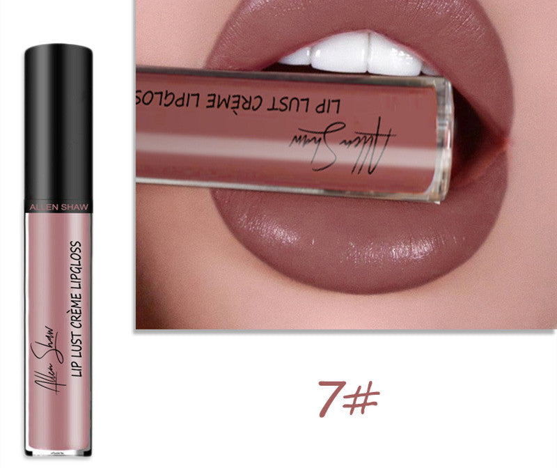 Silky Cream Texture Lip Gloss Aliexpress Shopee Cross-Border Exclusive Lip Glaze Lip Gloss Lipstick LadyShow.Store