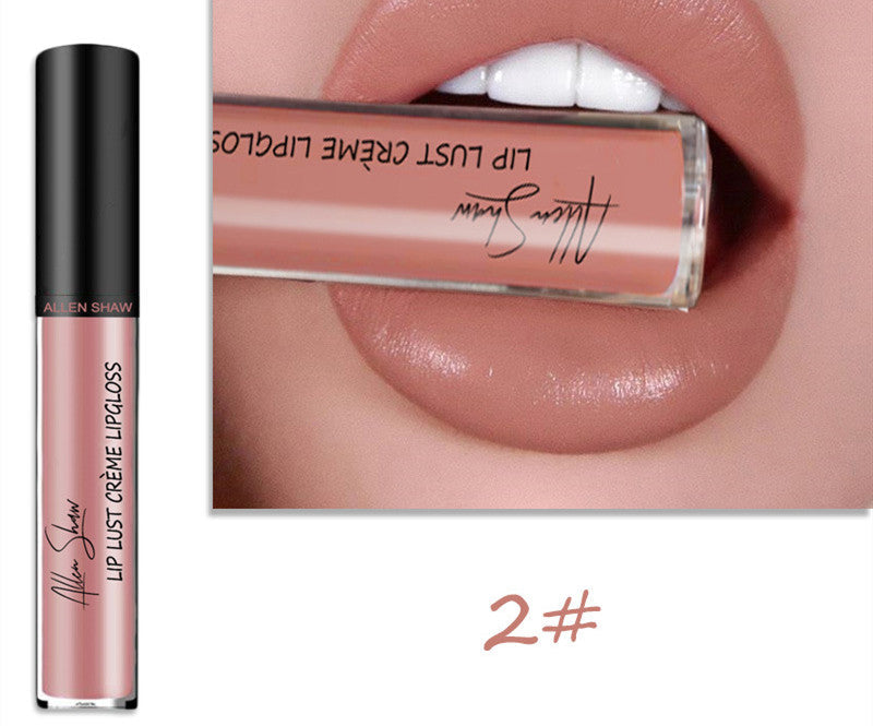 Silky Cream Texture Lip Gloss Aliexpress Shopee Cross-Border Exclusive Lip Glaze Lip Gloss Lipstick LadyShow.Store