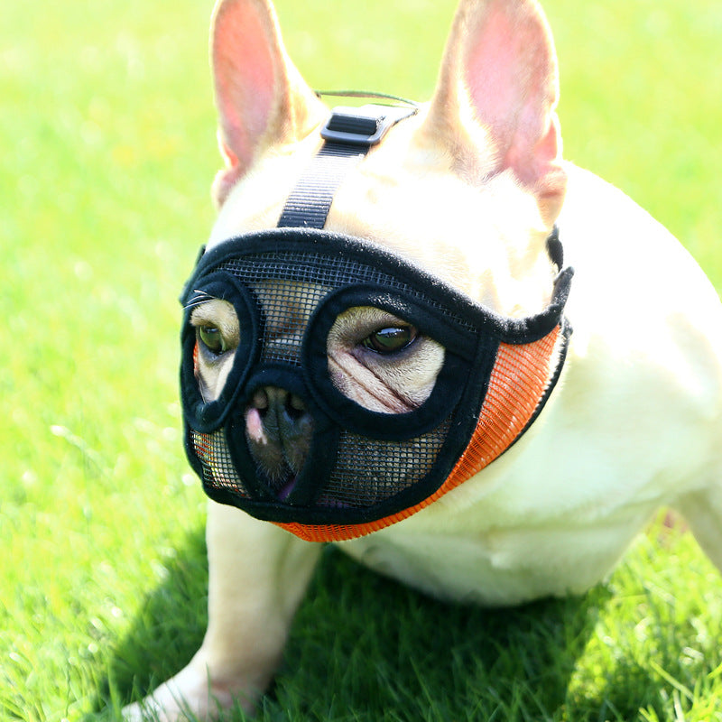 Hoopet Pet Small Dog French Bulldog Muzzle Dog Mouse Basket Breathable Muzzle For Dogs Leash Harness Supplies Pets Fashion