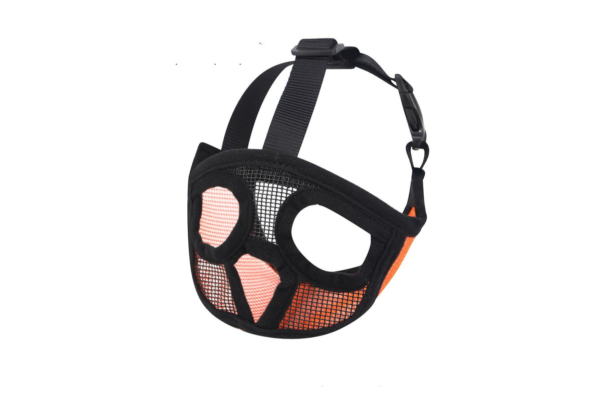 Hoopet Pet Small Dog French Bulldog Muzzle Dog Mouse Basket Breathable Muzzle For Dogs Leash Harness Supplies Pets Fashion