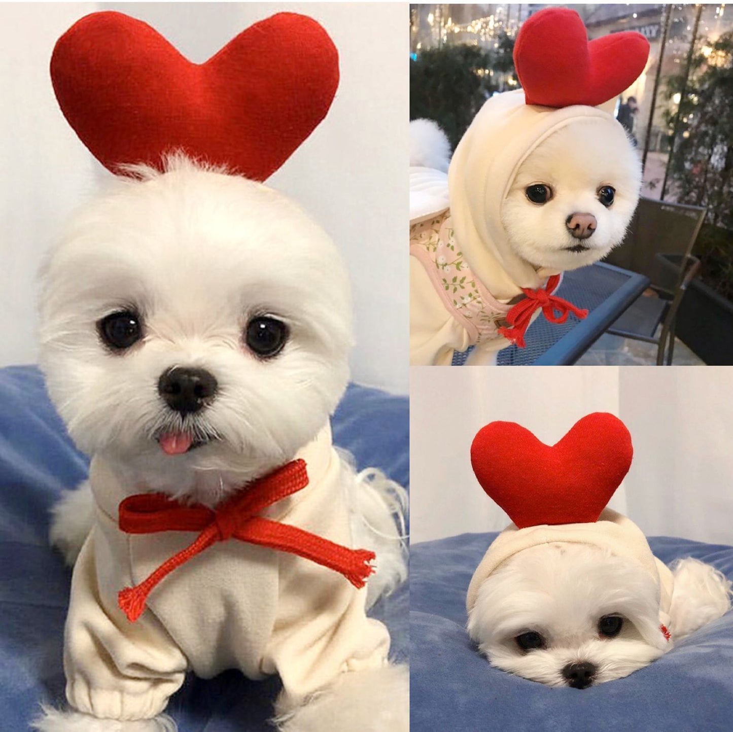 Cute Fruit Dog Clothes For Small Dogs Hoodies Winter Warm Fleece Pet Clothing Puppy Cat Costume Coat For French Chihuahua Outfit LadyShow.Store