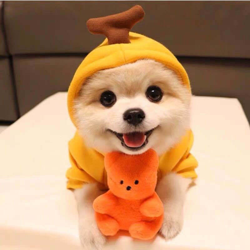 Cute Fruit Dog Clothes For Small Dogs Hoodies Winter Warm Fleece Pet Clothing Puppy Cat Costume Coat For French Chihuahua Outfit LadyShow.Store