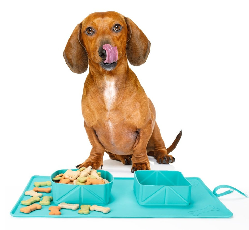 Dogs Puppy Bowls  Silicone Bowls Pets Fashion