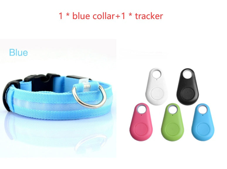 Safety Dog LED Collar Pets Fashion