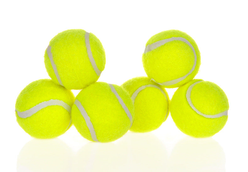 Dog Pet Automatic Interactive Ball Launcher Pets Fashion