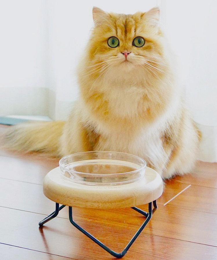 Solid Wood Cat Bowl Rack Pets Fashion