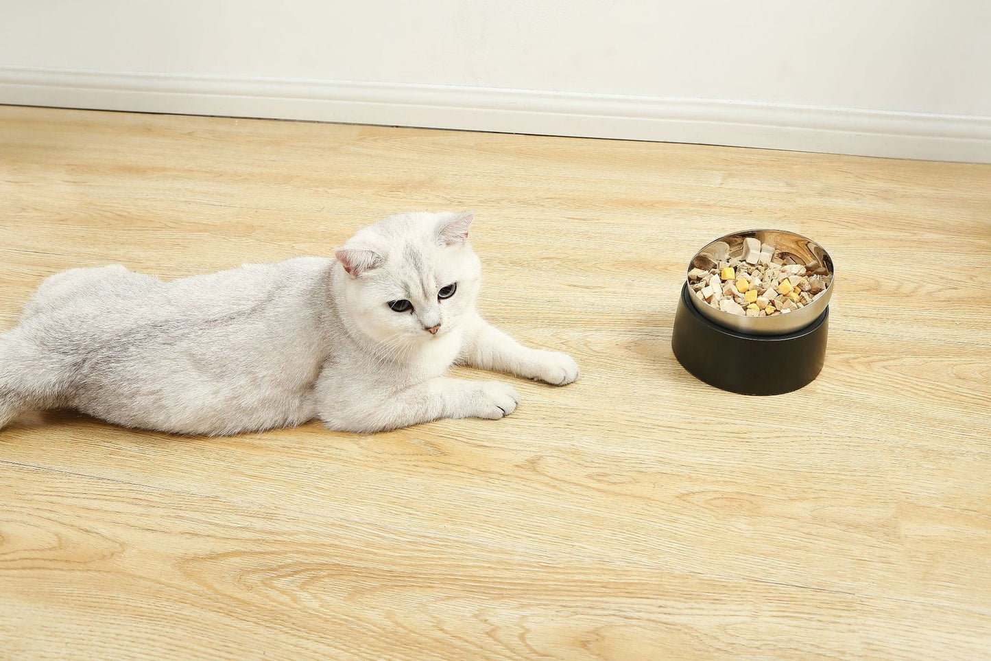 Pet Neck Protection Cat Oblique Mouth Anti-tumble Bowl Pets Fashion