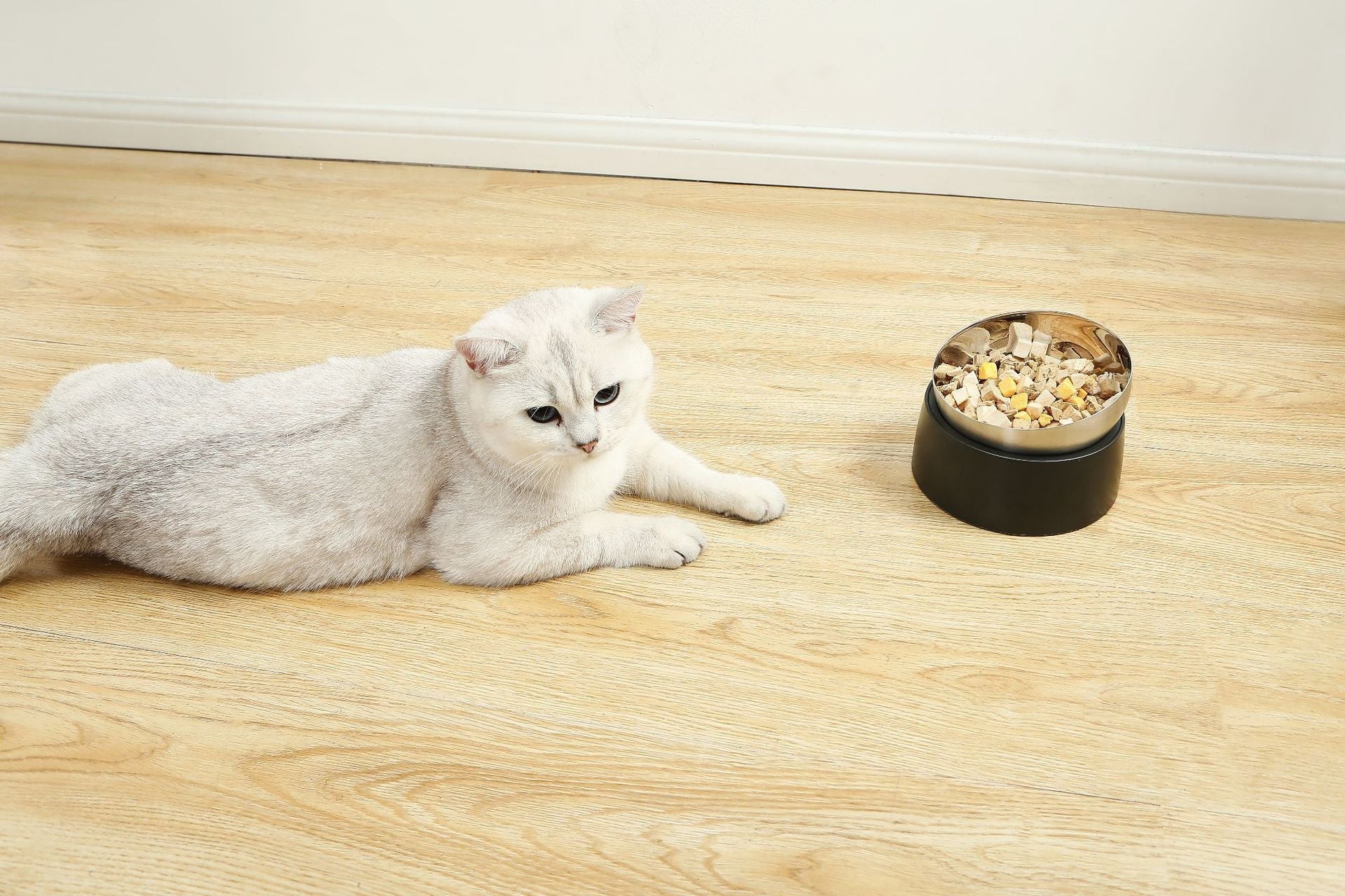 Pet Neck Protection Cat Oblique Mouth Anti-tumble Bowl Pets Fashion