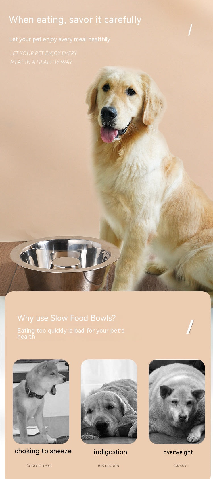 Pet Slow Food Stainless Steel Bowl And Tableware Pets Fashion