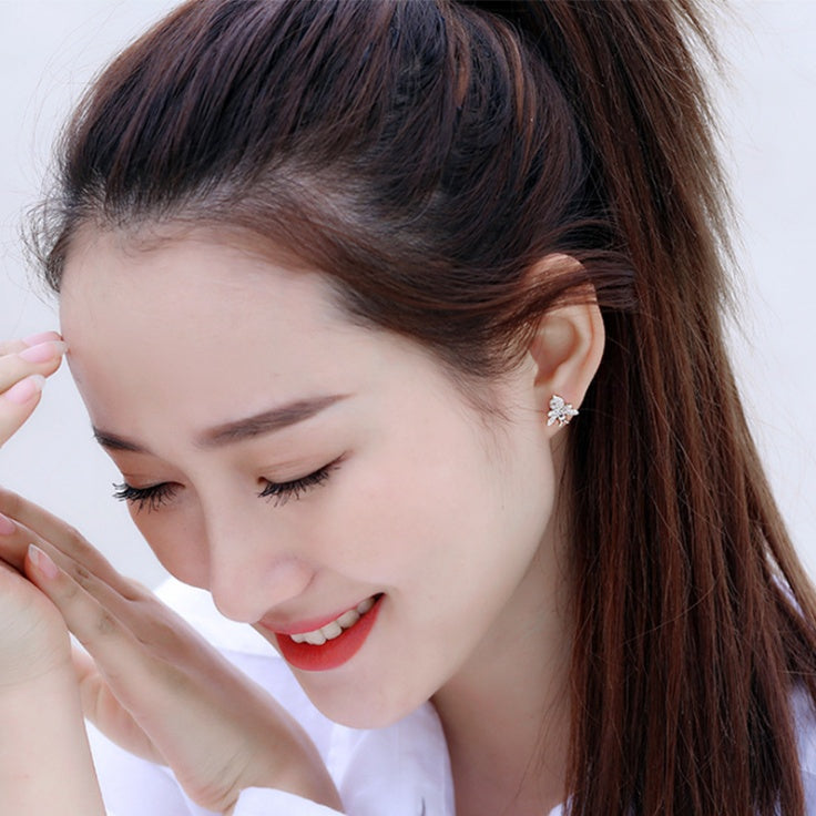 S925 silver pin with zircon earrings LadyShow.Store