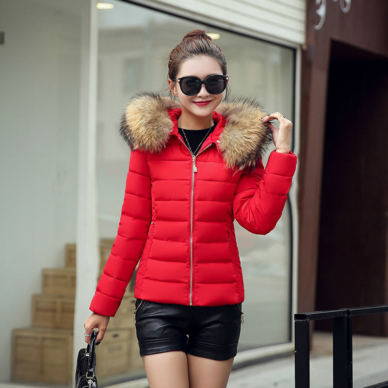 Slim cotton padded jacket and down jacket CJD