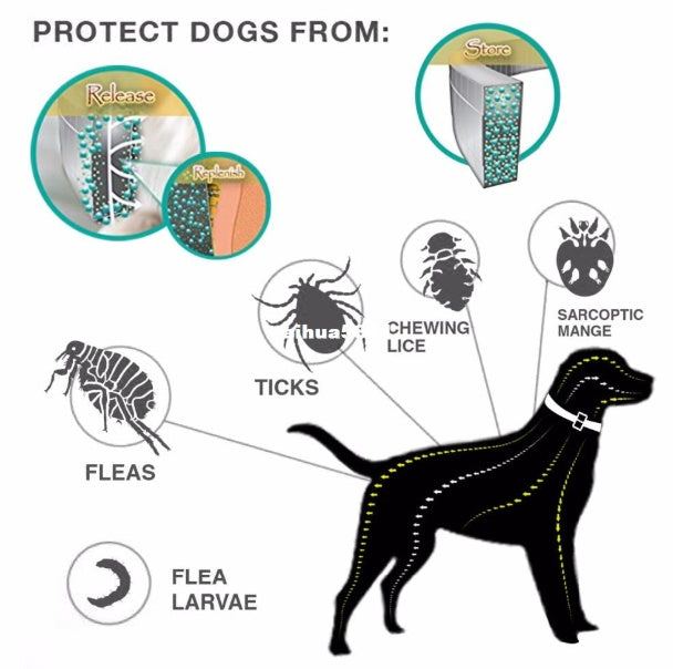 Premium Flea and Tick Collar Pets Fashion