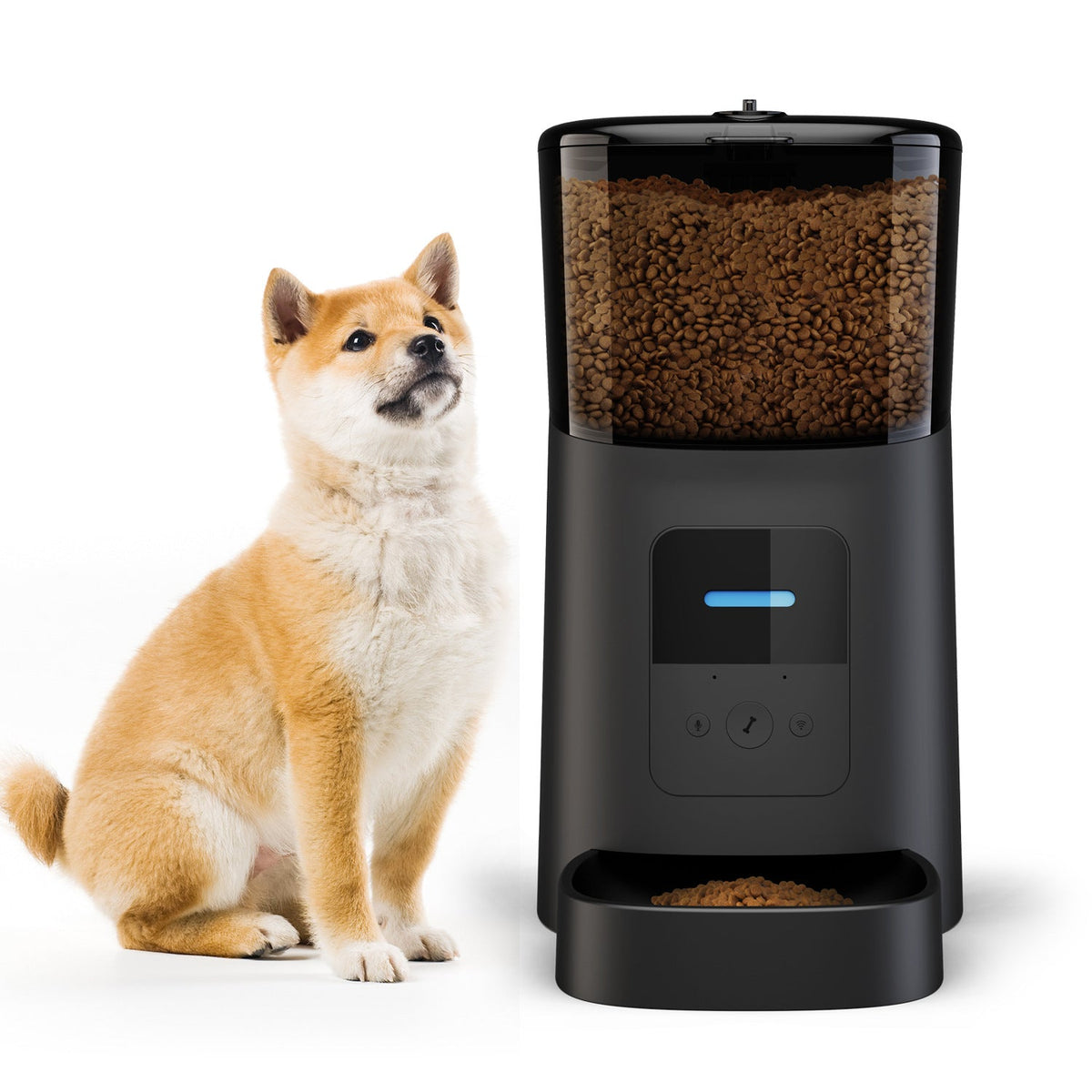 Pet feeder automatic Pets Fashion