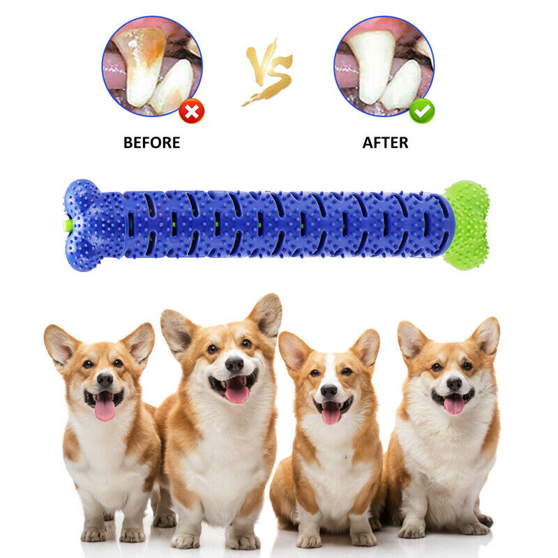 Dog Chew Toys Toothbrush Pets Molar Tooth Cleaning Brushing Stick Doggy Silicone Pets Fashion