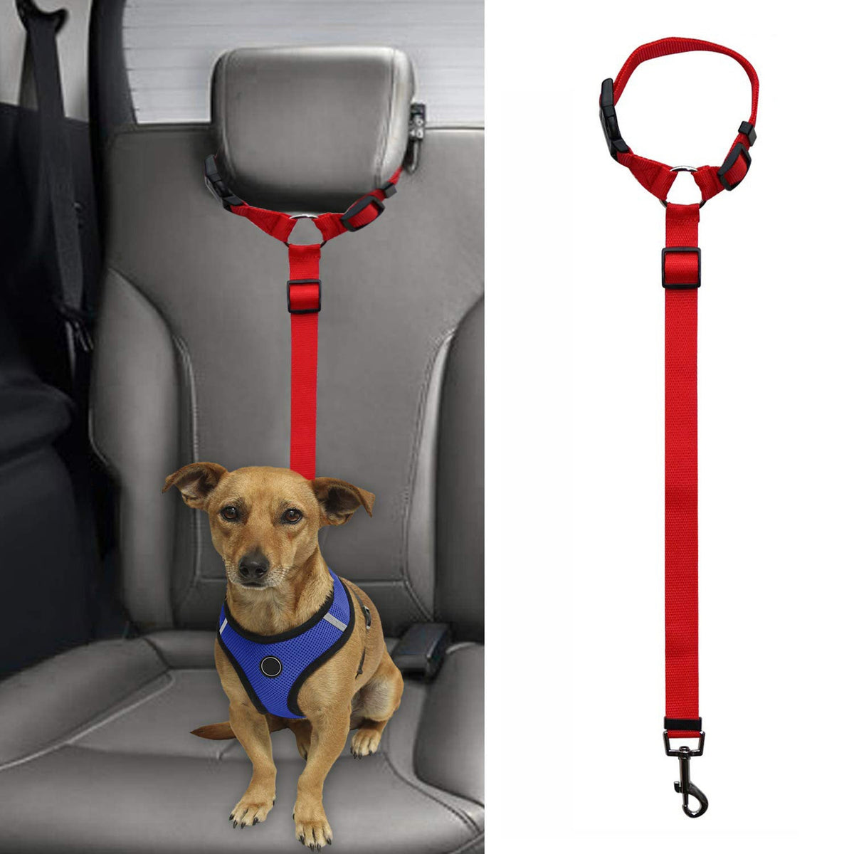 Pet safety leash Pets Fashion