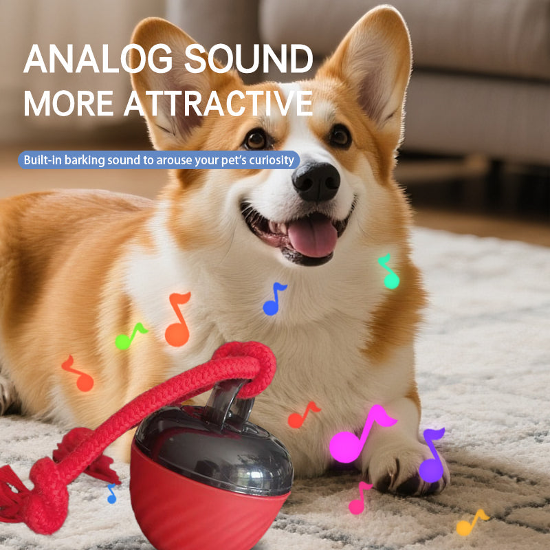 Smart Dog Cat Toy Ball Electronic Interactive Pet Toy Moving Ball Rope USB 3 Modes Automatic Moving Bouncing For Puppy Chew Products Pets Products Pets Fashion