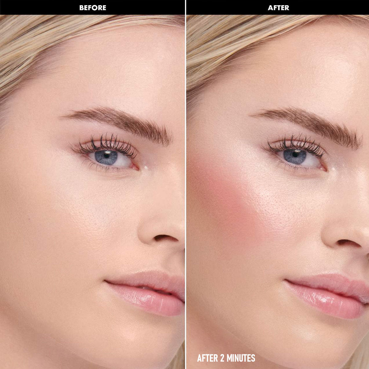 PHOFAY GLOSS VISAGE BLUSH LadyShow.Store