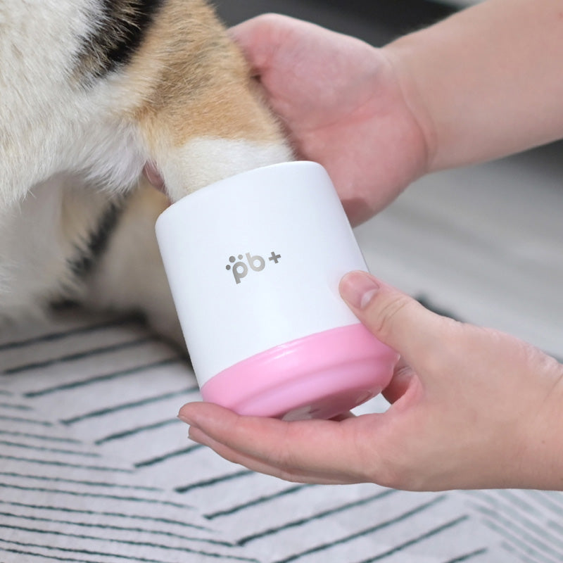 Pet footbath Pets Fashion