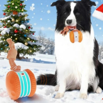 Pet Ball For Dogs Interactive Toys Motion Activate Rolling Ball For Puppy Small Dogs Automatic Moving Toy USB Rechargeable Toy Pet Products Pets Fashion