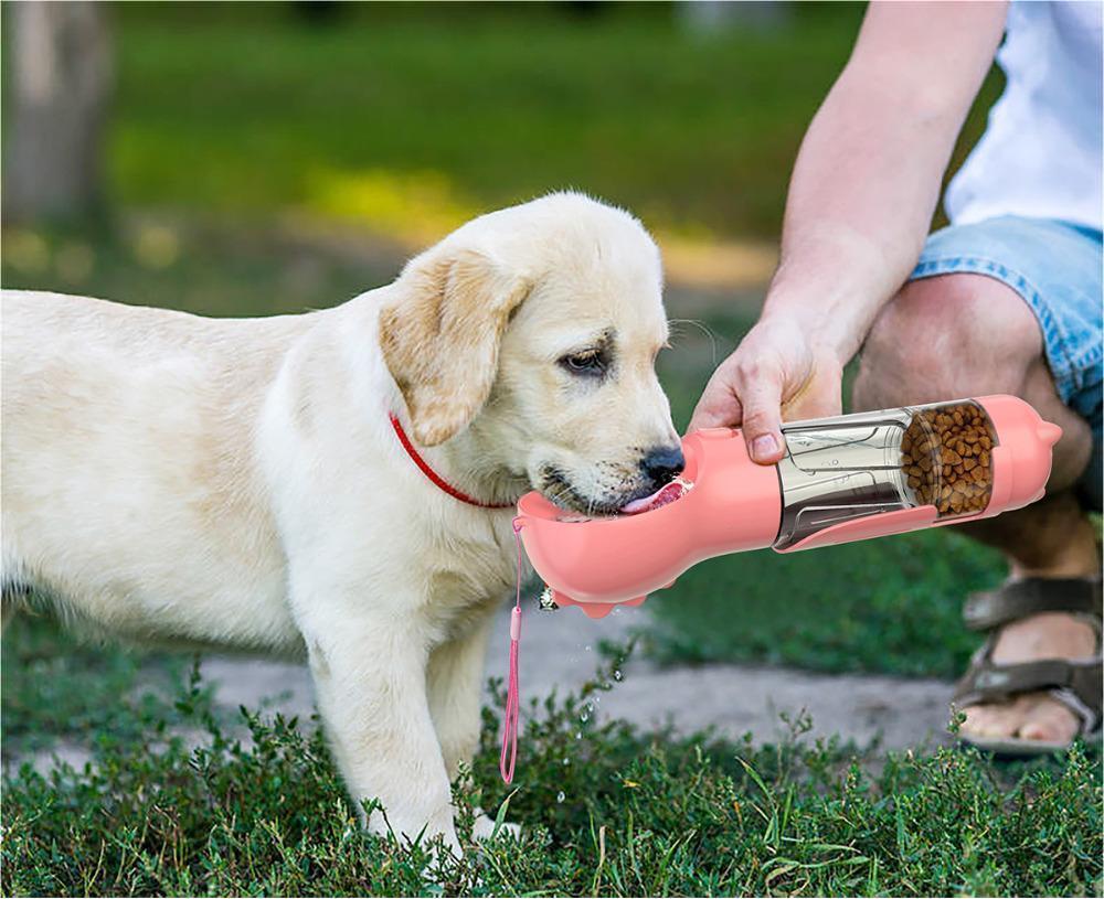 3-in-1 Portable Pet Water Bottle Pets Fashion