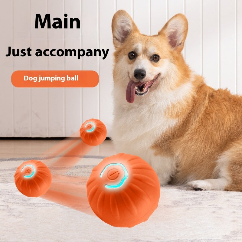 Pet Gravity Jumping Ball Toy Pets Fashion