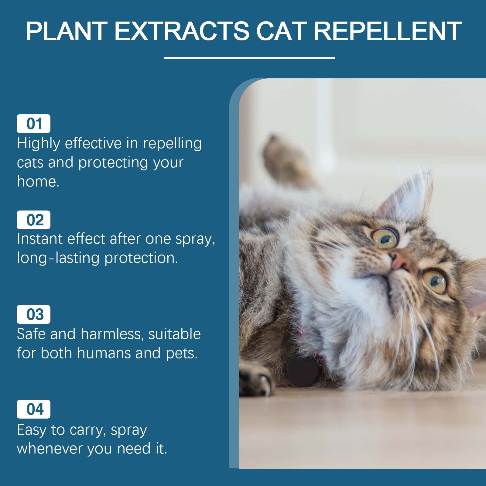 Pet Insect Repellent Prevent Cats From Going To Bed Spray Pets Fashion