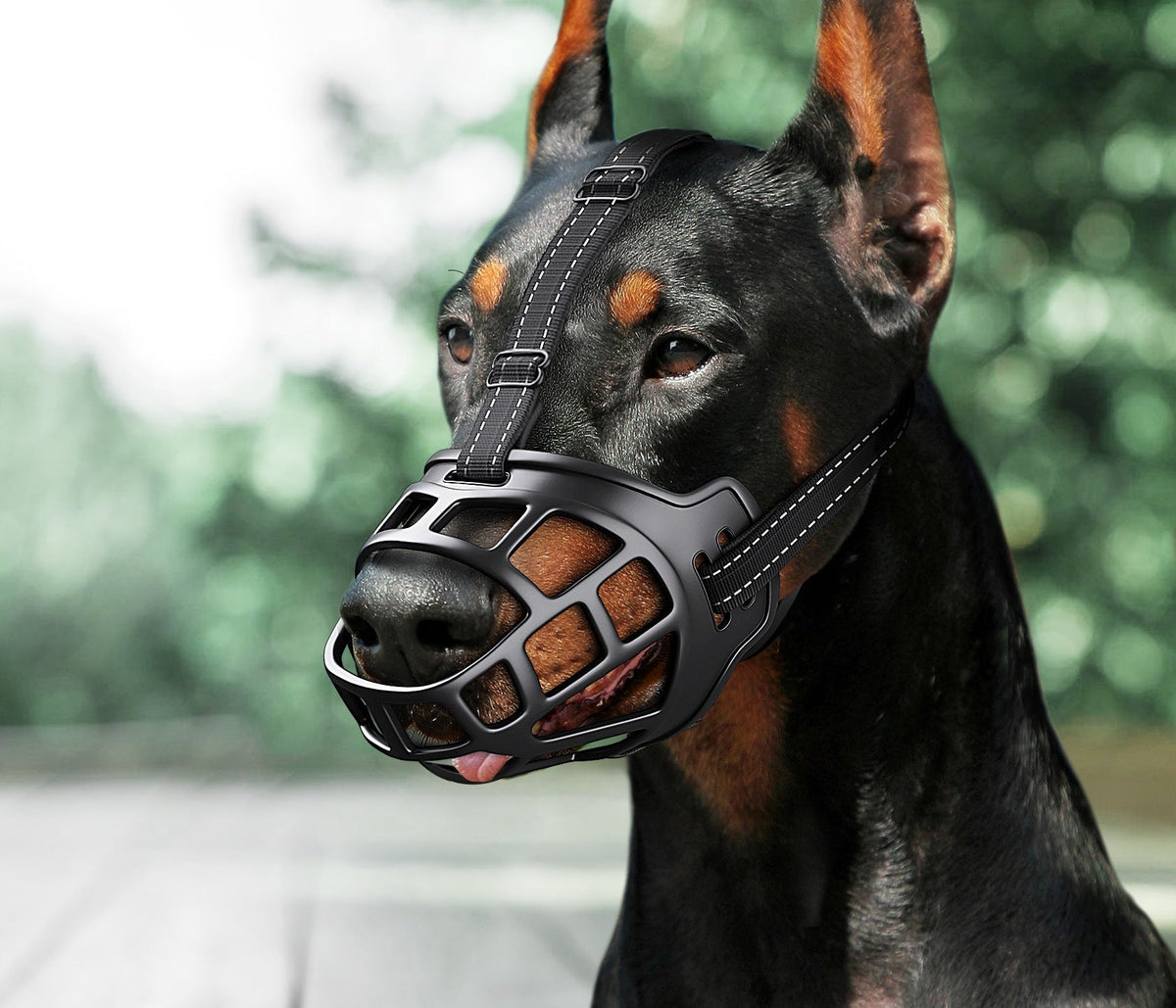 Upgraded Dog Mouth Cover Anti-bite Small, Medium And Large Dogs Pets Fashion