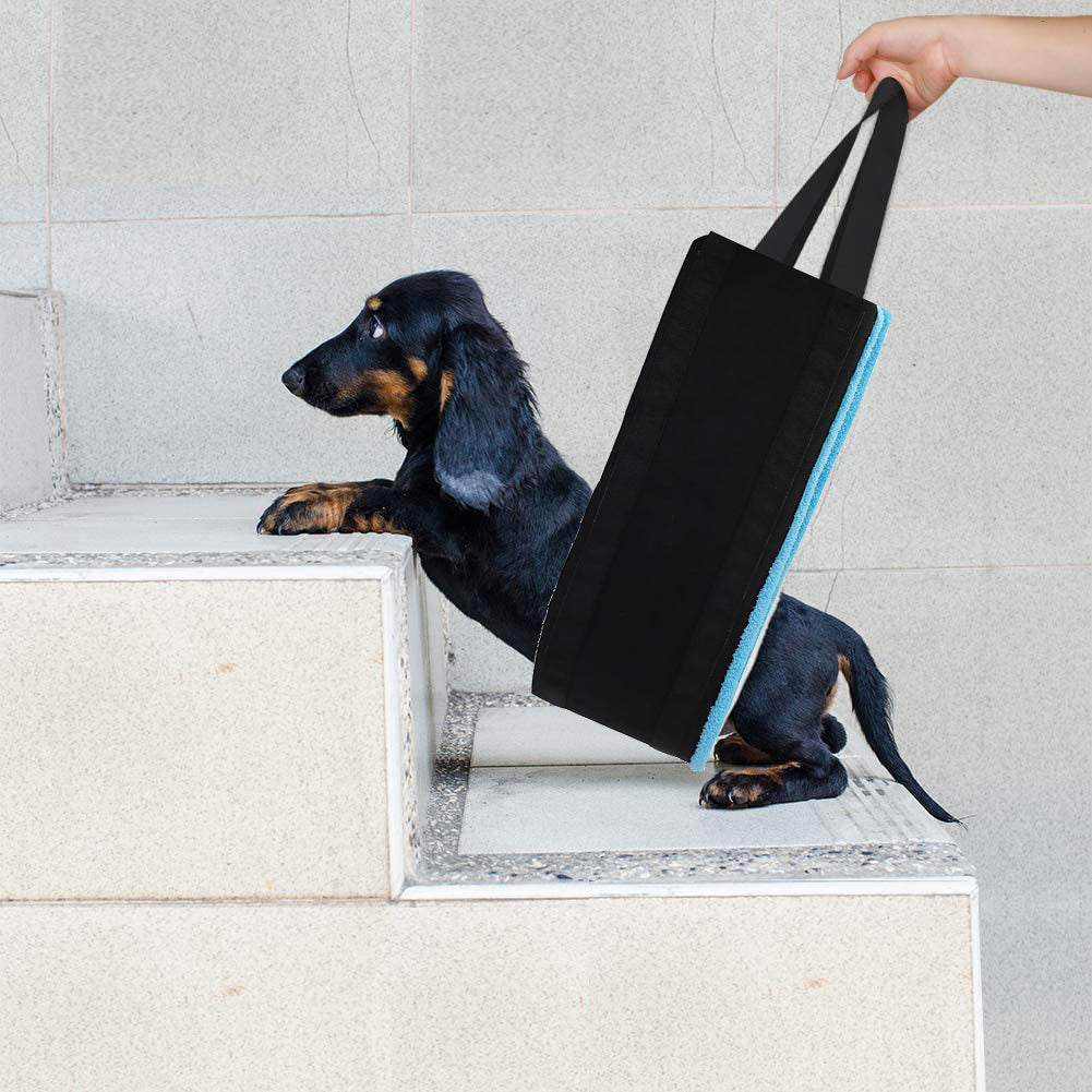 New Pet Products Dog Auxiliary Belt Pet Power Pets Fashion