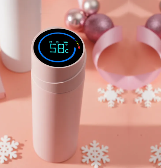 Sterilizing Water Bottle LadyShow.Store
