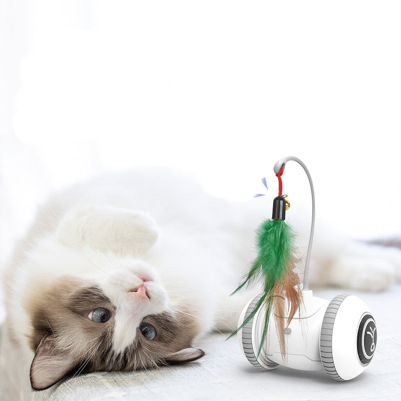 Interchangeable Cat Feather Toy Pets Fashion