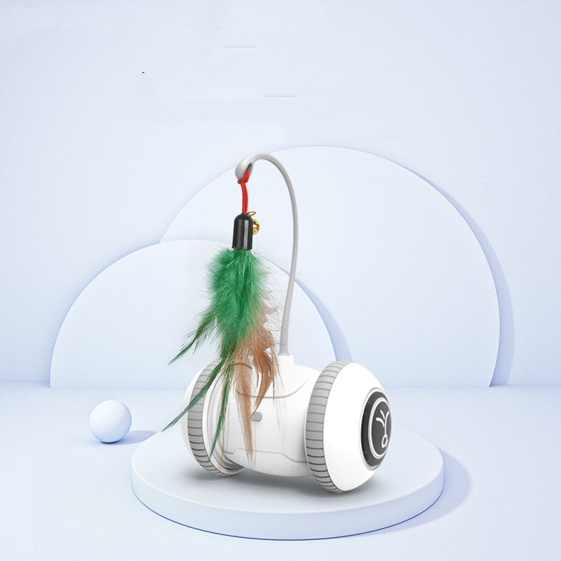 Interchangeable Cat Feather Toy Pets Fashion