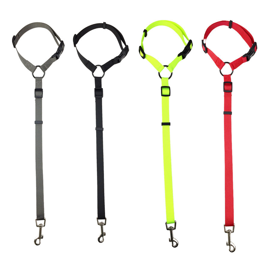 Pet safety leash Pets Fashion